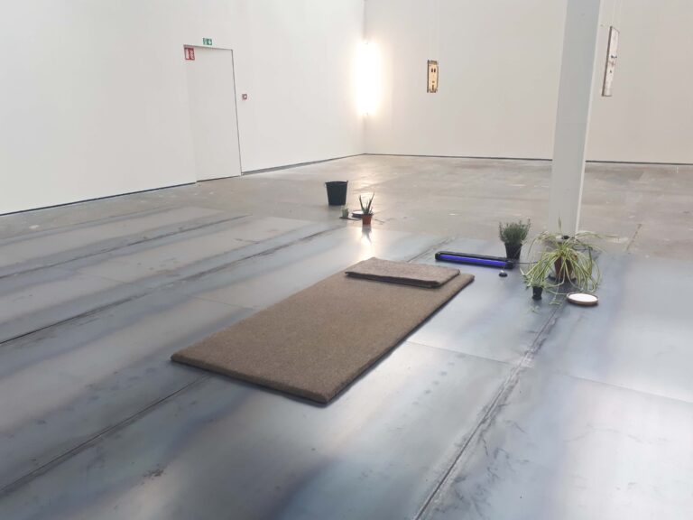 propositional things, 2017
